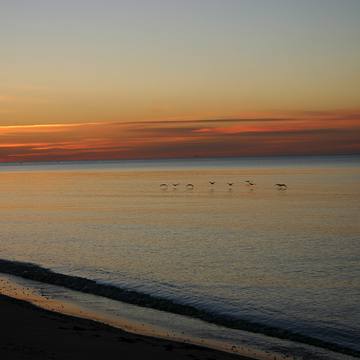2005-11-09 - Cape Cod