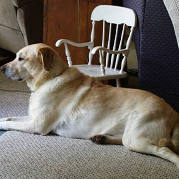 Waiting For School Bus - Emily